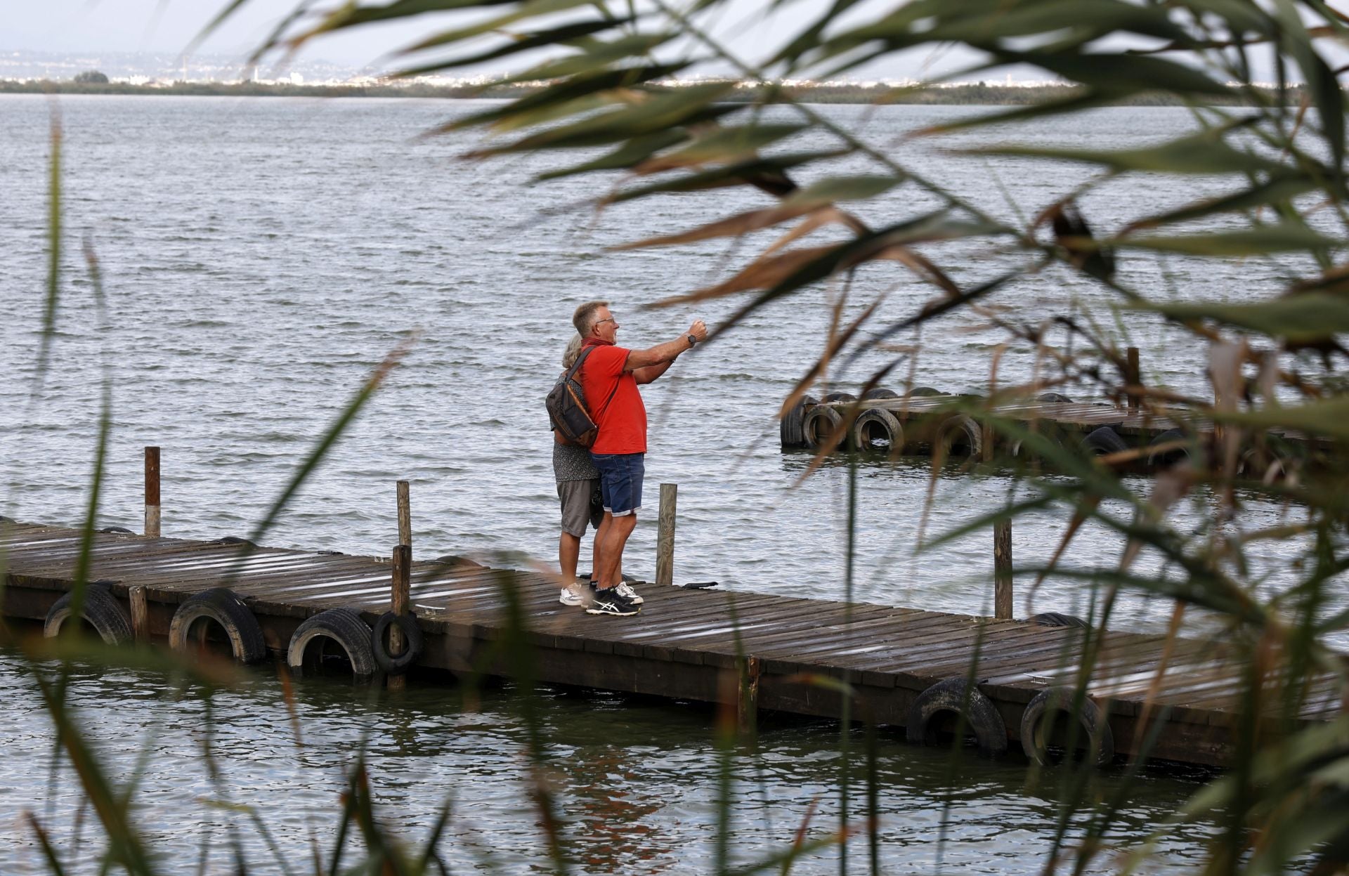 Aumenta el nivel de agua en La Albufera y campos de arroz anegados tras las lluvias