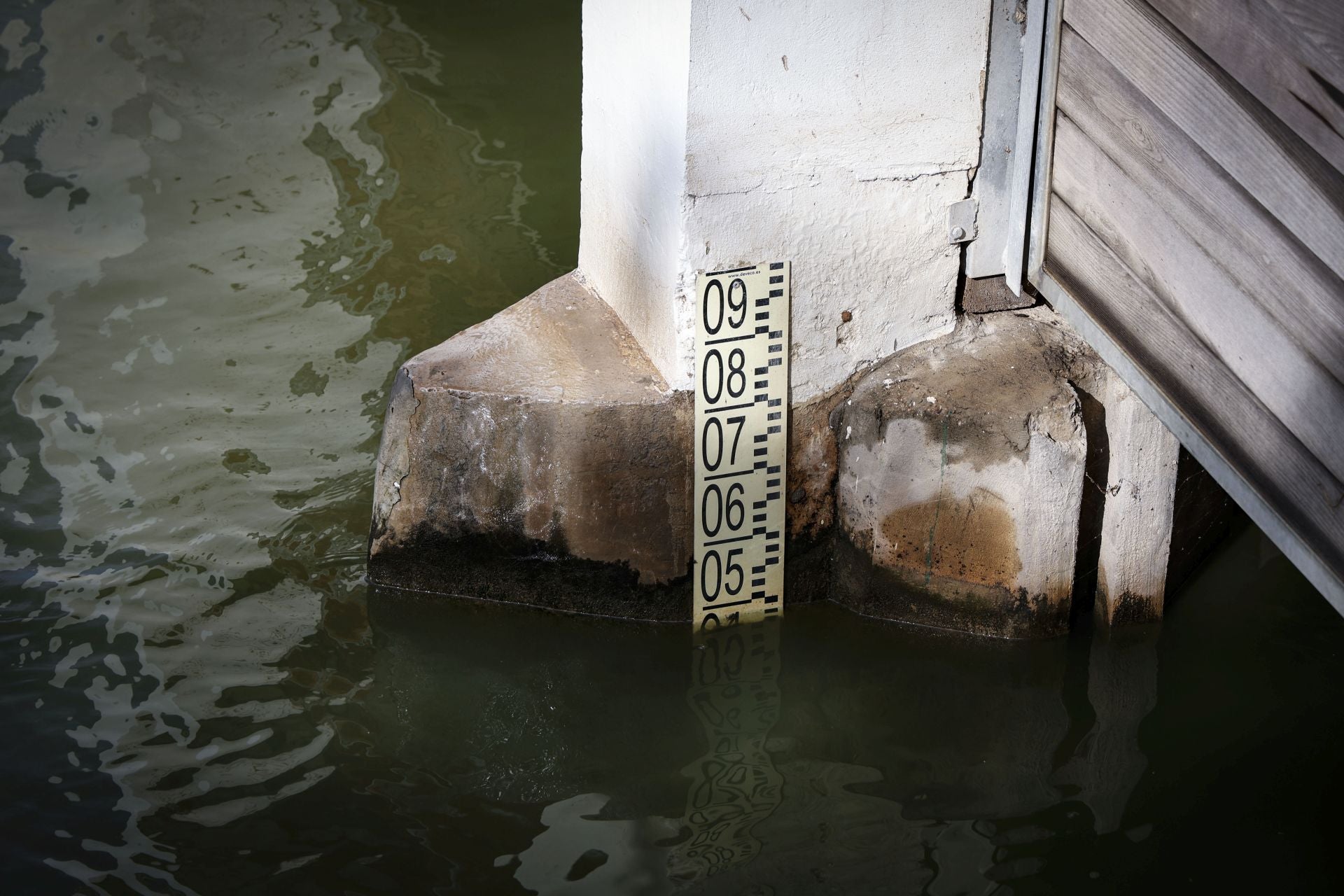 Aumenta el nivel de agua en La Albufera y campos de arroz anegados tras las lluvias