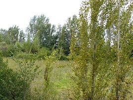 Ullal del río Verd.