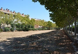 Tramo del barranco de la Saleta donde se ha previsto la actuación.