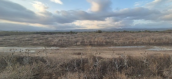 Casinos y Llíria, en pie de guerra por una planta de biometano