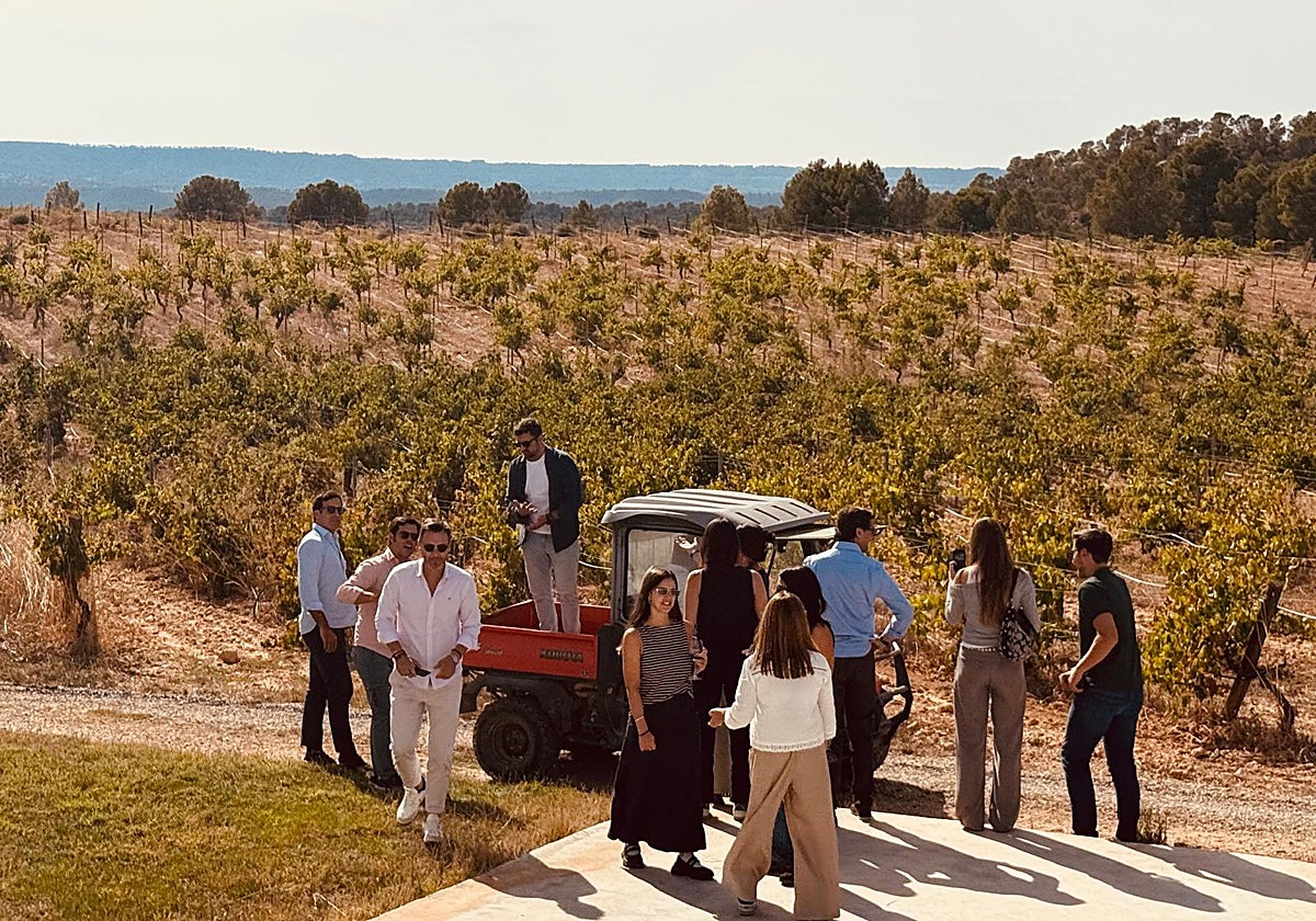 Vendimiado lúdico de los participantes.