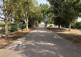 Parte del recorrido del Gran Fons organizado por Tritons Albalat de la Ribera.