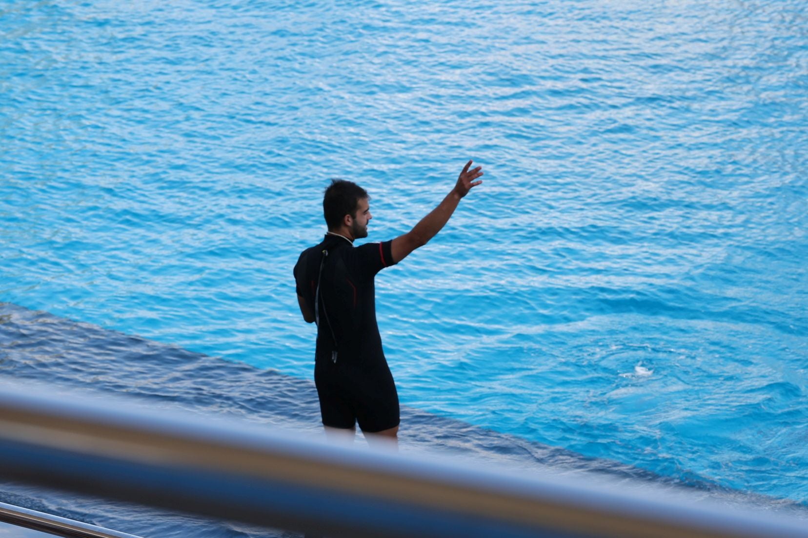 Las candidatas a fallera mayor de Valencia visitan l&#039;Oceanogràfic