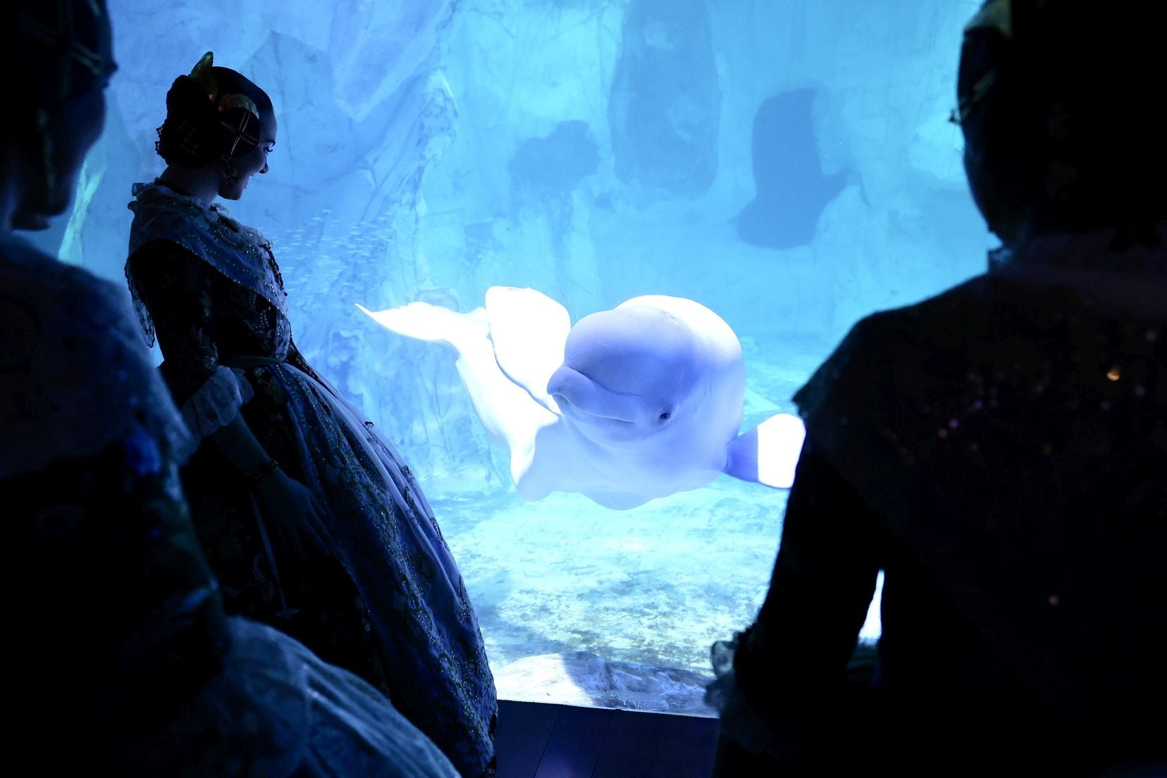 Las candidatas a fallera mayor de Valencia visitan l&#039;Oceanogràfic