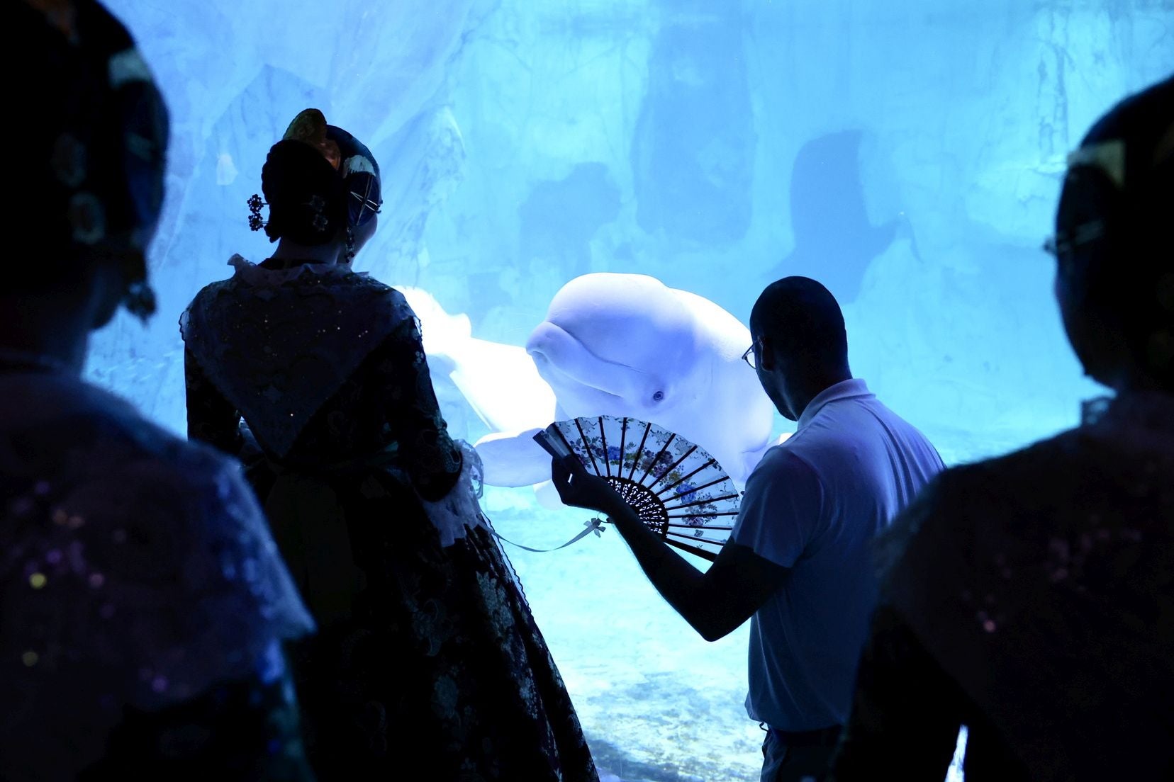 Las candidatas a fallera mayor de Valencia visitan l&#039;Oceanogràfic