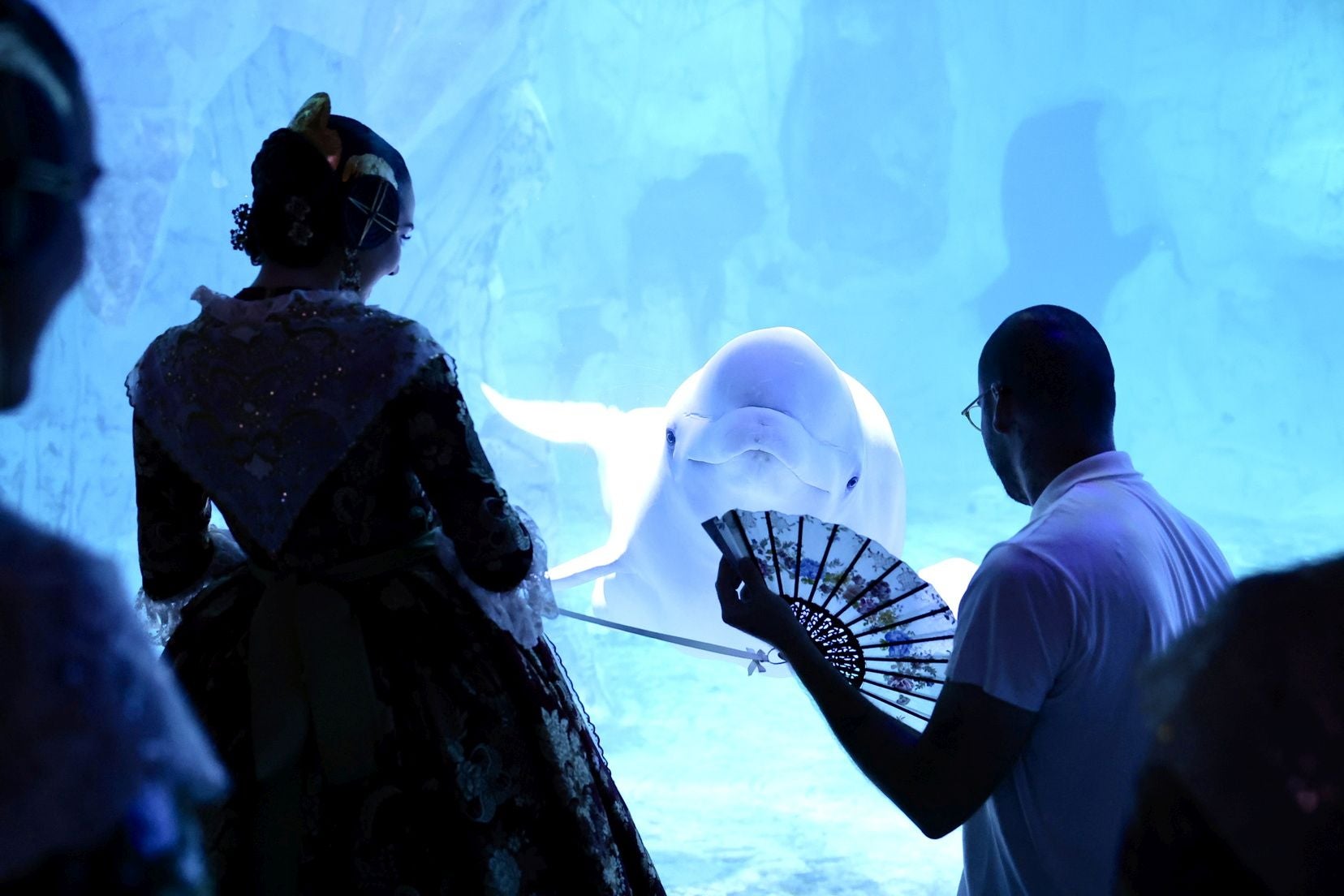 Las candidatas a fallera mayor de Valencia visitan l&#039;Oceanogràfic