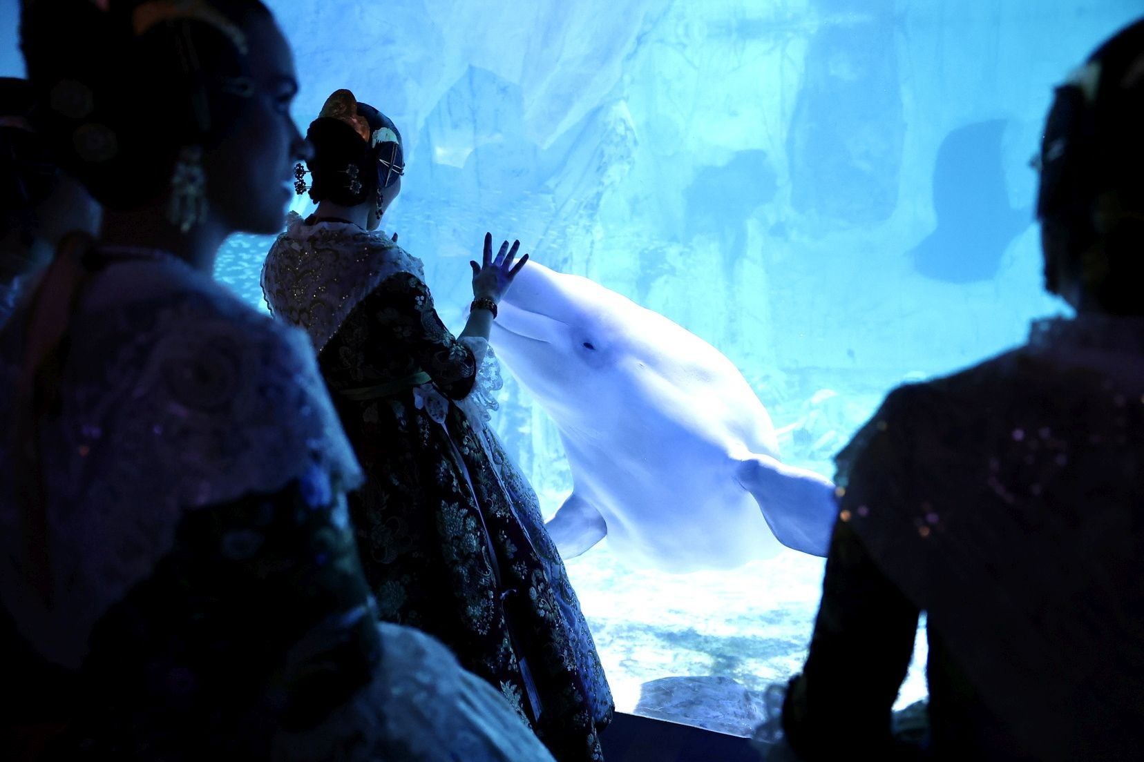 Las candidatas a fallera mayor de Valencia visitan l&#039;Oceanogràfic