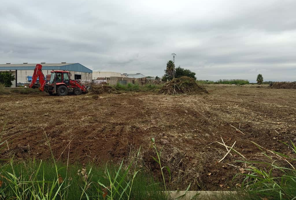 Zona por la que pasará la variante de Albalat de la Ribera.