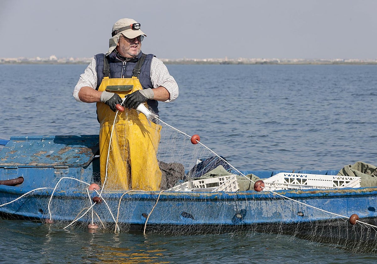 José Luis Torrentí retira los peces de la red que previamente ha extendido en la Albufera.