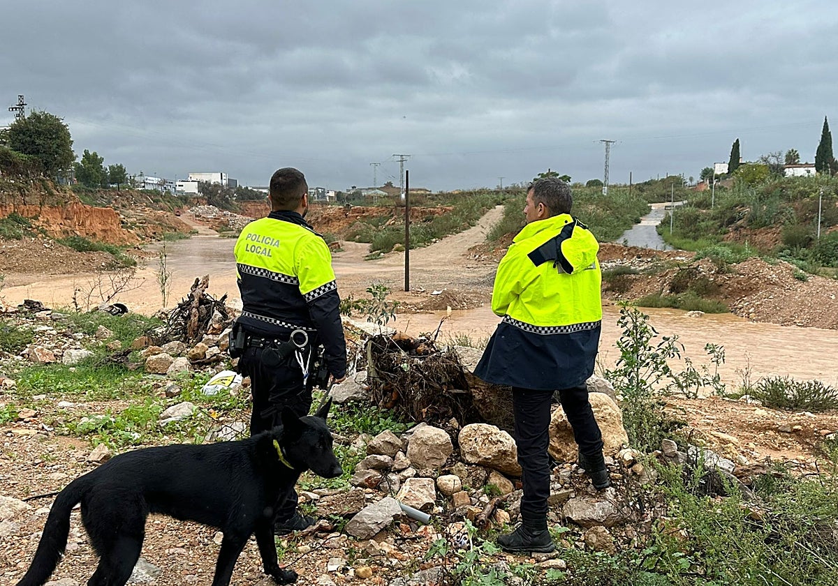 El agua se desborda en algunos puntos del barranco de l&#039;Horteta en Torrent