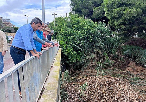 El presidente de la Generalitat, Carlos Mazón, visita Pilar de la Horadada tras las lluvias.