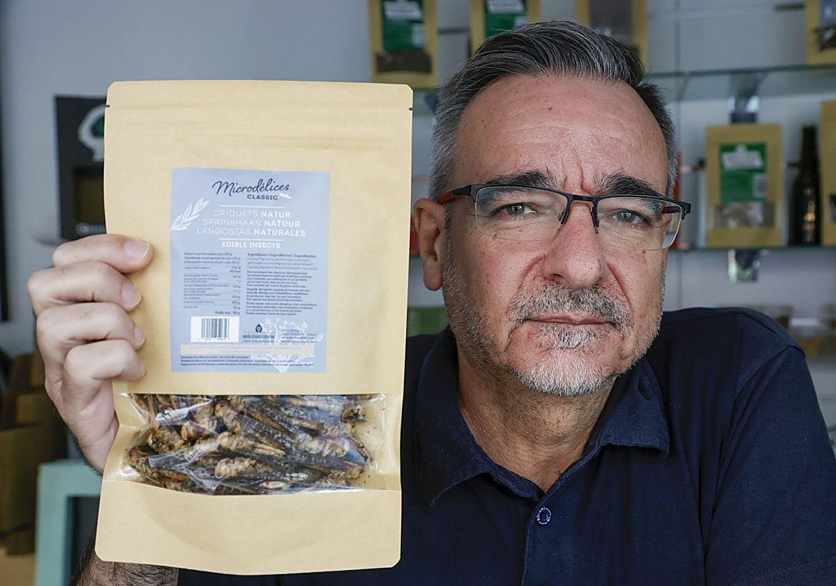 Imagen principal - Parada Insectum, de Alberto Pérez, y puesto de productos mexicanos 'La despensa de Frida', de Manolo Gragera.