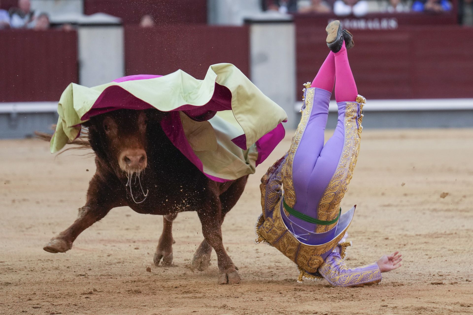 FOTOS | Morante de la Puebla se corta la coleta en Las ventas