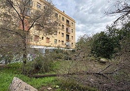 Árbol de gran porte caído en el jardín de Los Viveros.