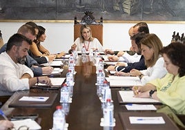 Junta de Gobierno de la Diputación de Castellón.