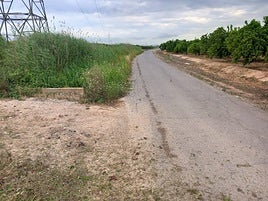 Zona rural de Alzira afectada por la dana.