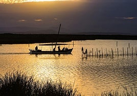 Parque Natural de la Albufera.