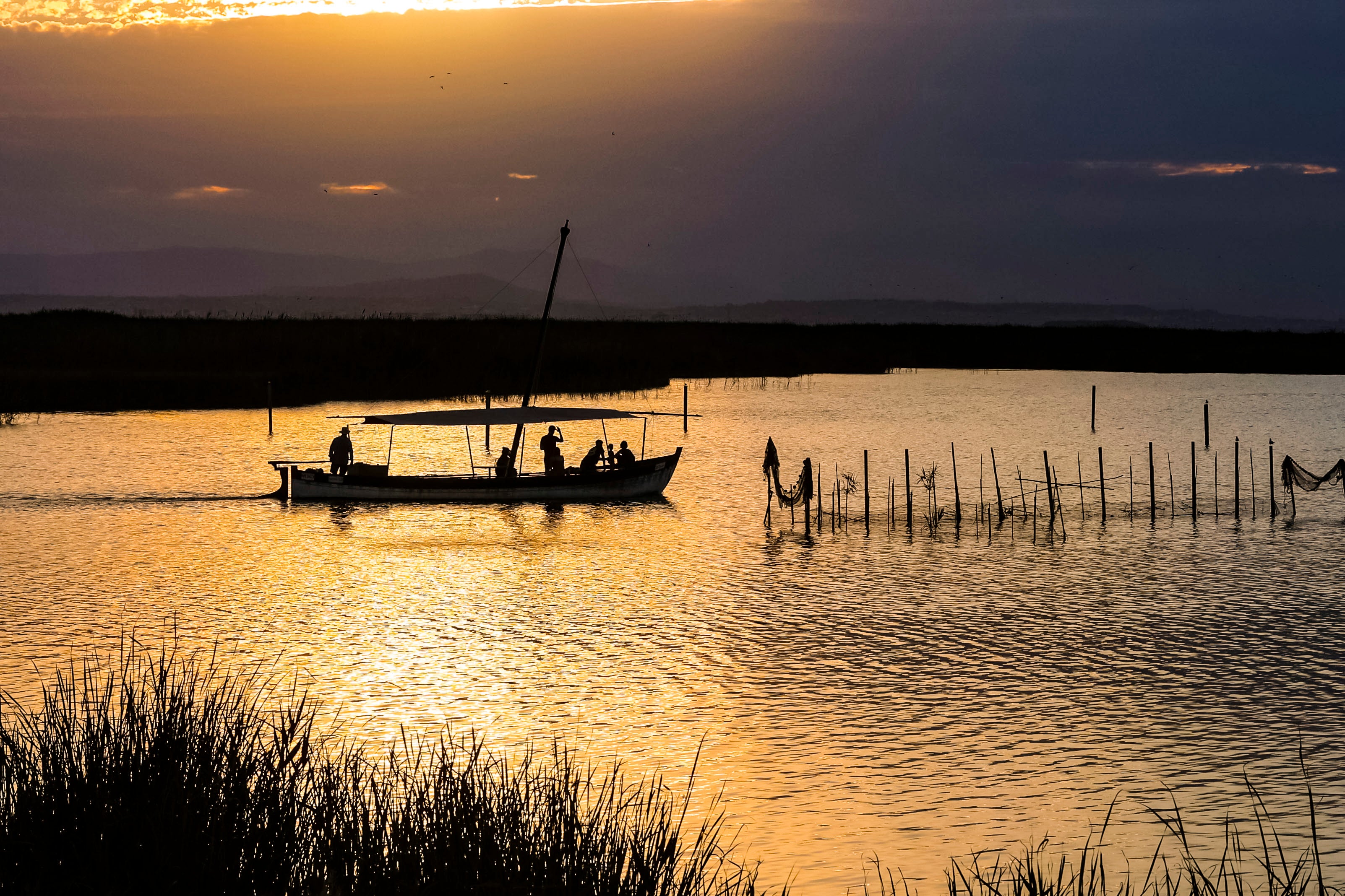 Parque Natural de la Albufera.