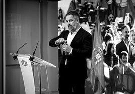 Los antisistema de derechas