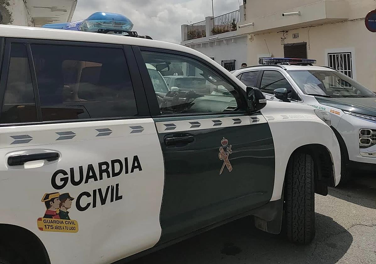 Los agentes detuvieron al ladrón en Alginet.