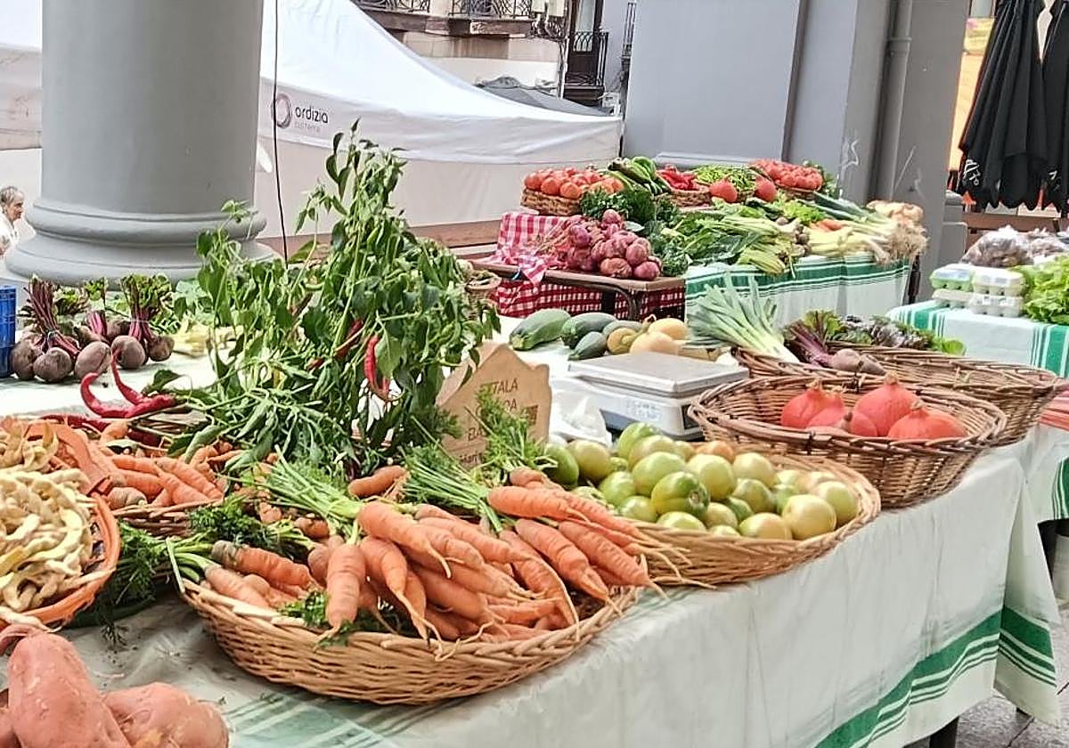 Seis alimentos de otoño que levantan el ánimo y combaten el cansancio