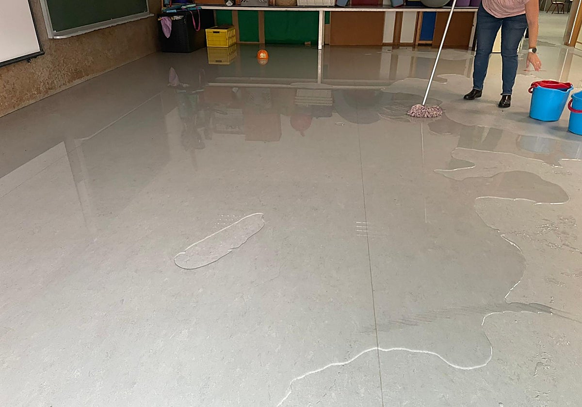 Imagen principal - Varias imágenes de los efectos de Alice en los colegios de El Saler.