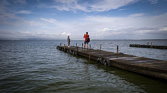 La CHJ creará un censo de peces que habitan la Albufera
