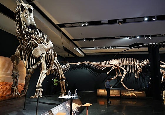 Fotos de la exposición 'Dinosaurios de la Patagonia' en CaixaForum