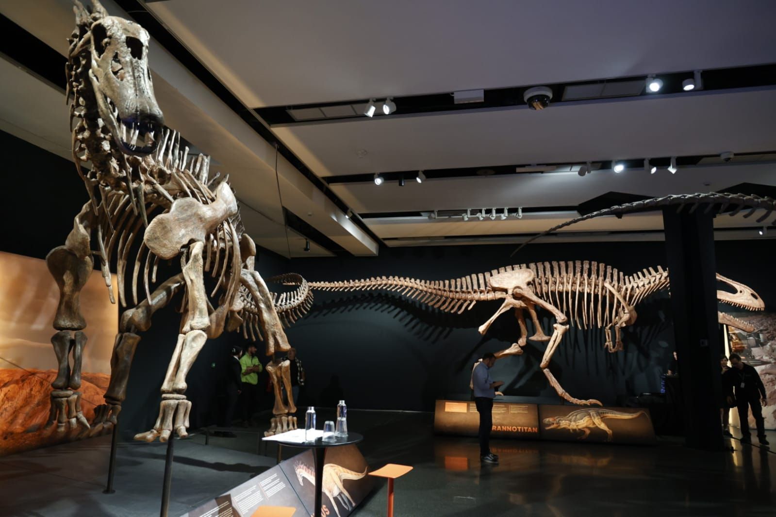 Fotos de la exposición &#039;Dinosaurios de la Patagonia&#039; en CaixaForum