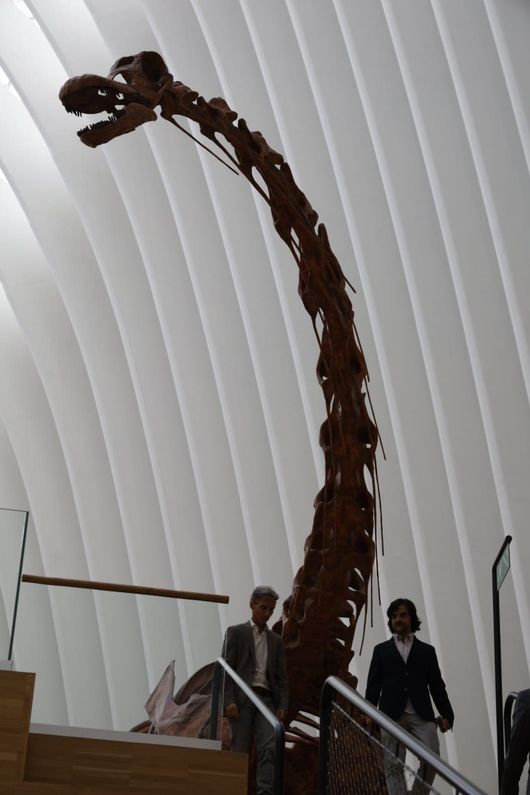 Fotos de la exposición &#039;Dinosaurios de la Patagonia&#039; en CaixaForum