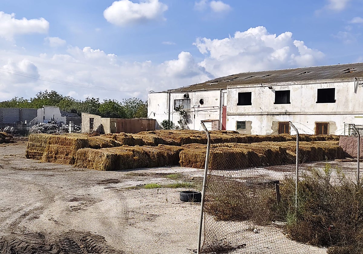 Paja del arroz amontonada en La Baldovina.