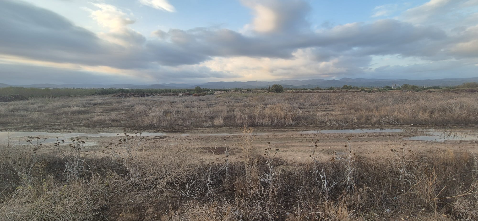 Terrenos en los que está prevista la instalación de la planta.