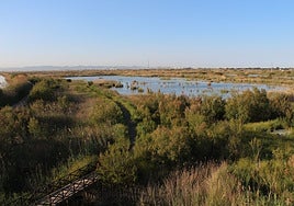 Estado del Tancat de la Pipa.