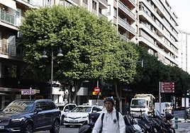 Árboles de la calle Colón de Valencia.