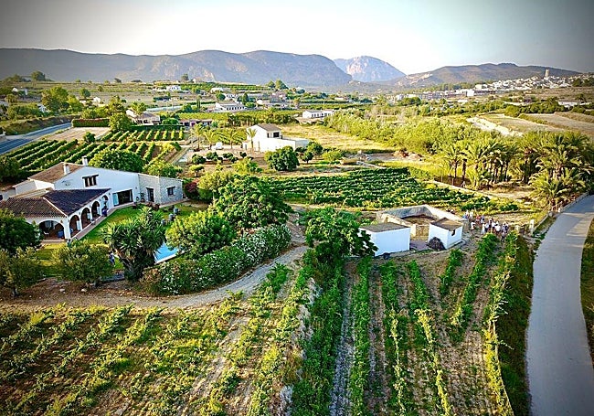 La bodega y su viñedo.