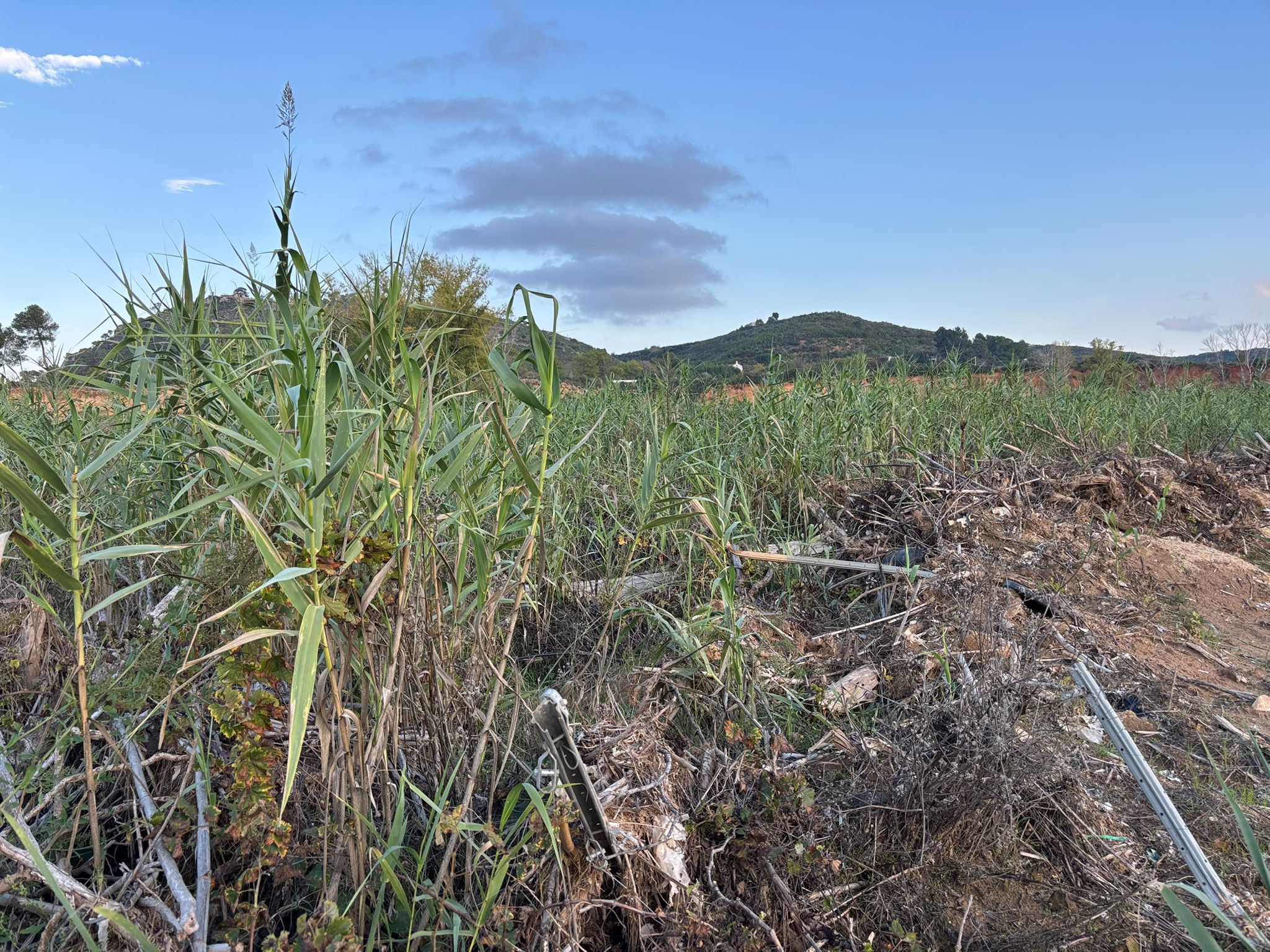 Imagen secundaria 2 - Turís, su zona rural ya nunca volverá a ser la de antes
