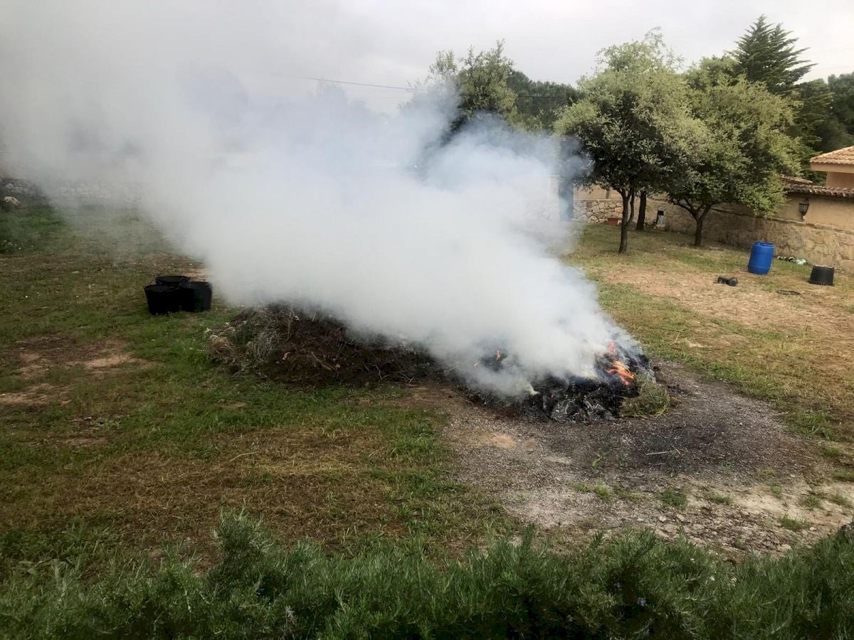 Quema agrícola en un terreno de Ontinyent.