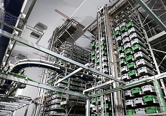 Interior de una de las nuevas plantas de la Familia Martínez.