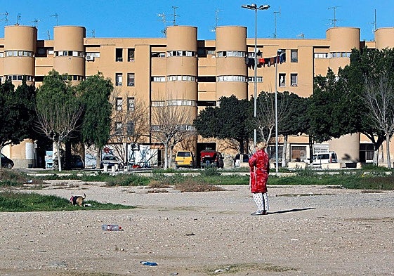 Viviendas en el barrio Los Palmerales.