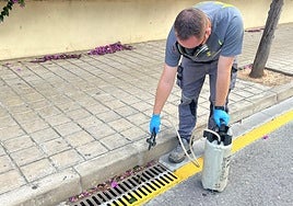 Operario fumiga un imbornal en Mislata.