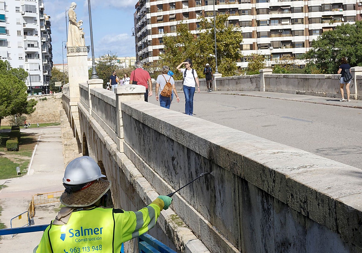 Aplicación de bioceidas para eliminar las hierbas y líquenes en el puente histórico de San José.