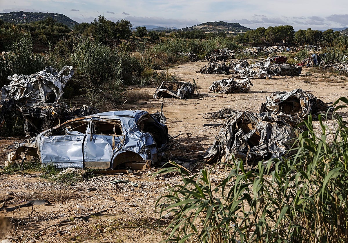 Coches arrasados por la riada y sin recoger junto a la A-3.