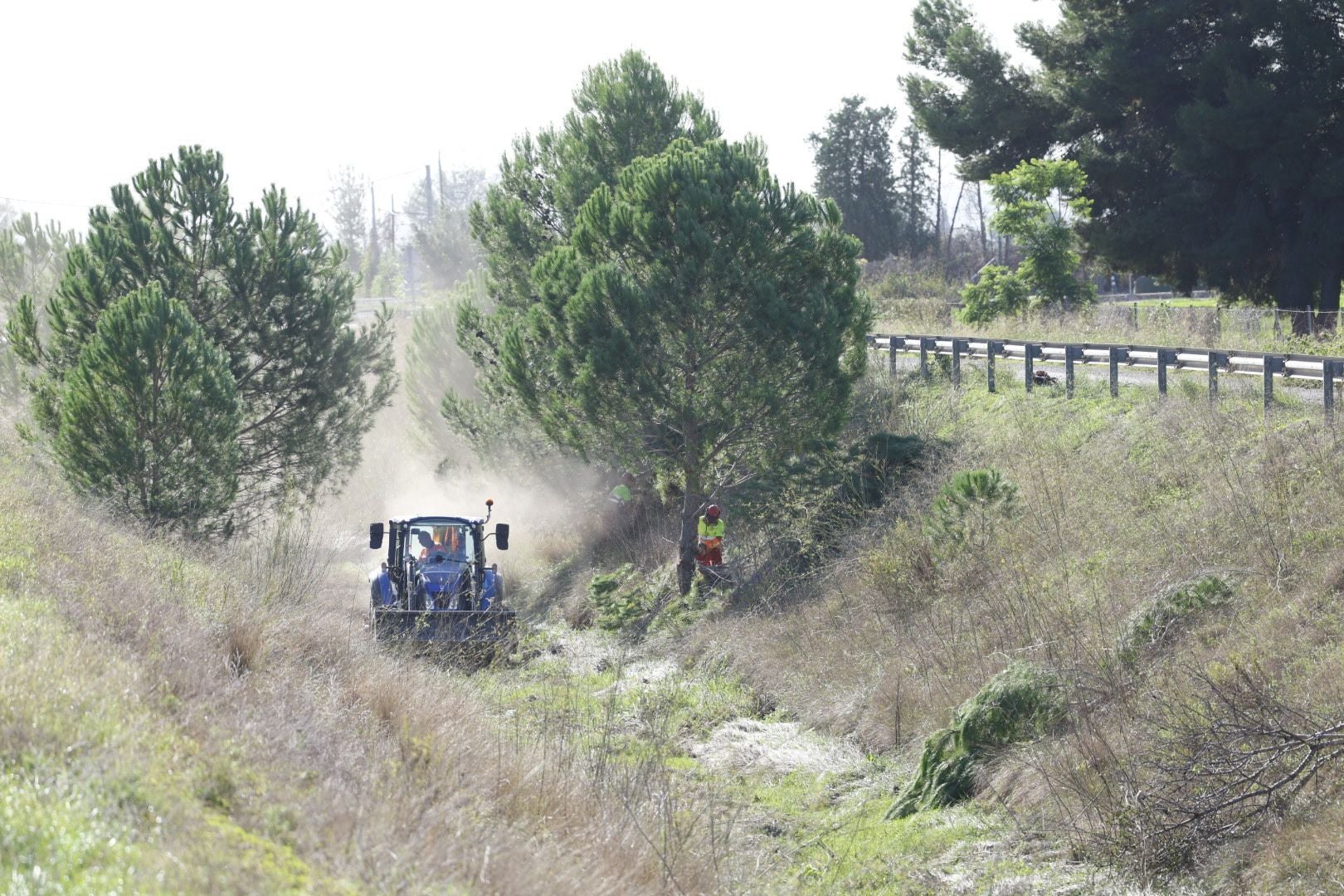 Limpieza del barranco del Palmaret