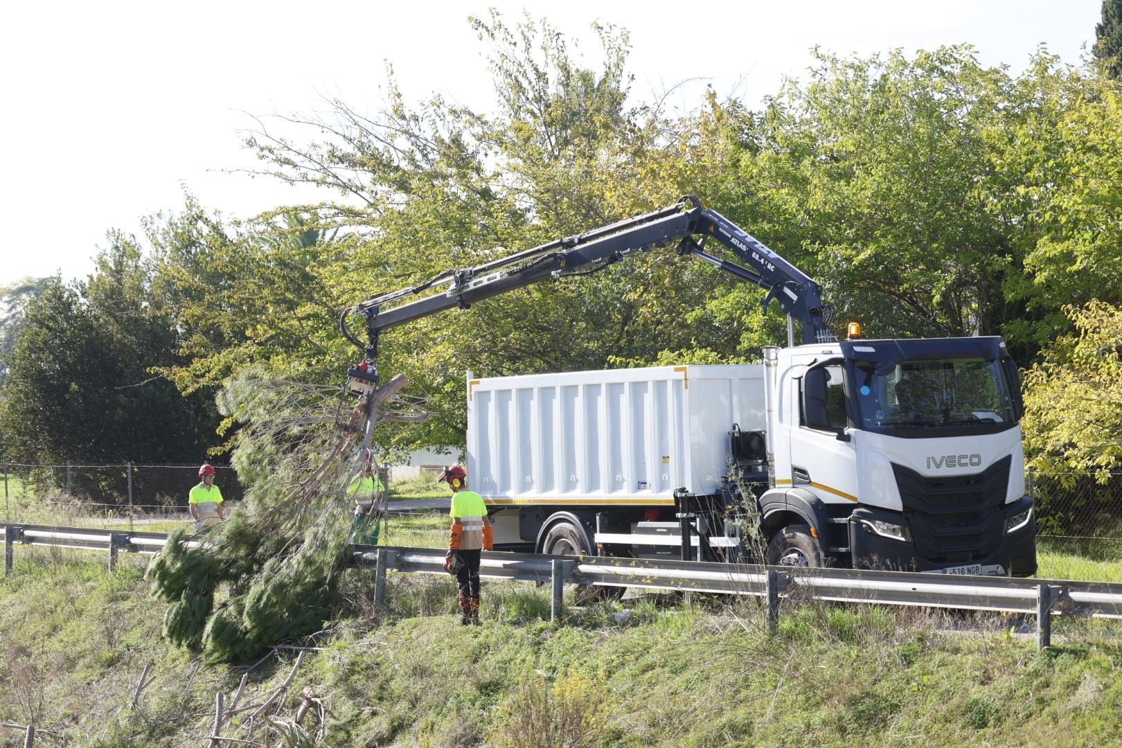 Limpieza del barranco del Palmaret