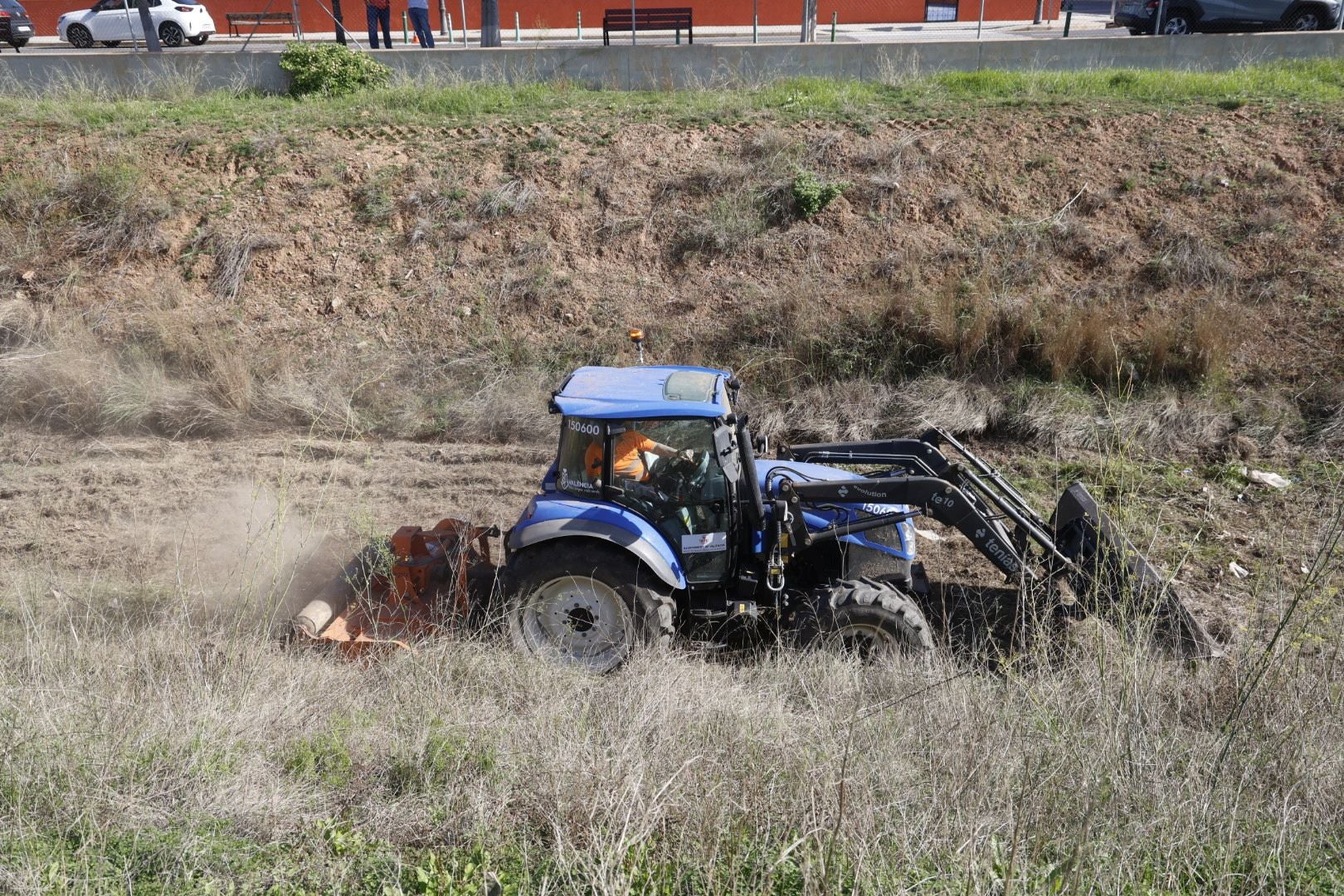 Limpieza del barranco del Palmaret