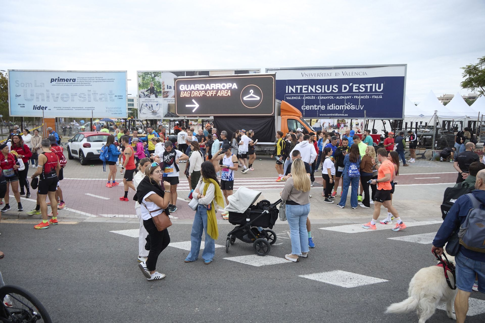 Las mejores fotos del Medio Maratón de Valencia 2025
