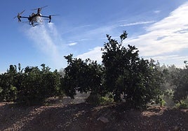 Cómo fumigar cultivos a ras de árboles y plantas y sin pérdidas por deriva aérea