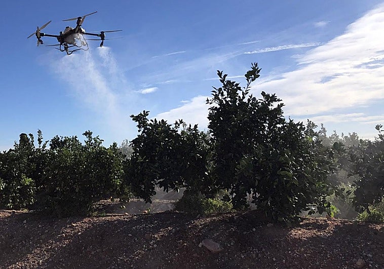 Cómo fumigar cultivos a ras de árboles y plantas y sin pérdidas por deriva aérea