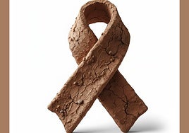 Un any després de la DANA!